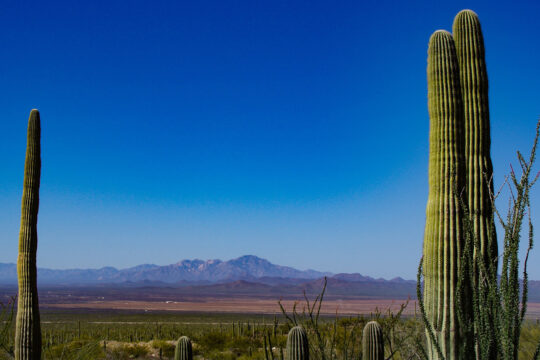 bike tours in the united states