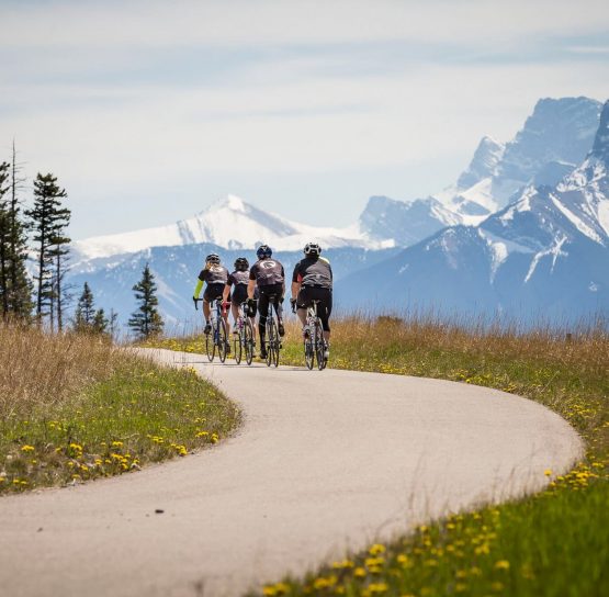 Biking on the Glacier-Banff-Jasper Bike Tour