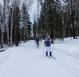 Skiers on Methow Cross-Country Ski Tour