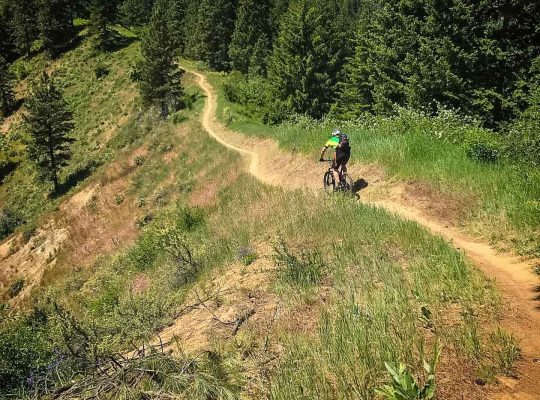 Biking on the Mountain Bike Leavenworth – Advanced tour