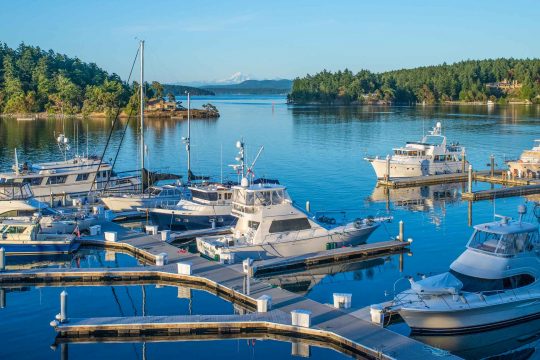 View of the coast on the San Juan Islands – Victoria Bike Tour