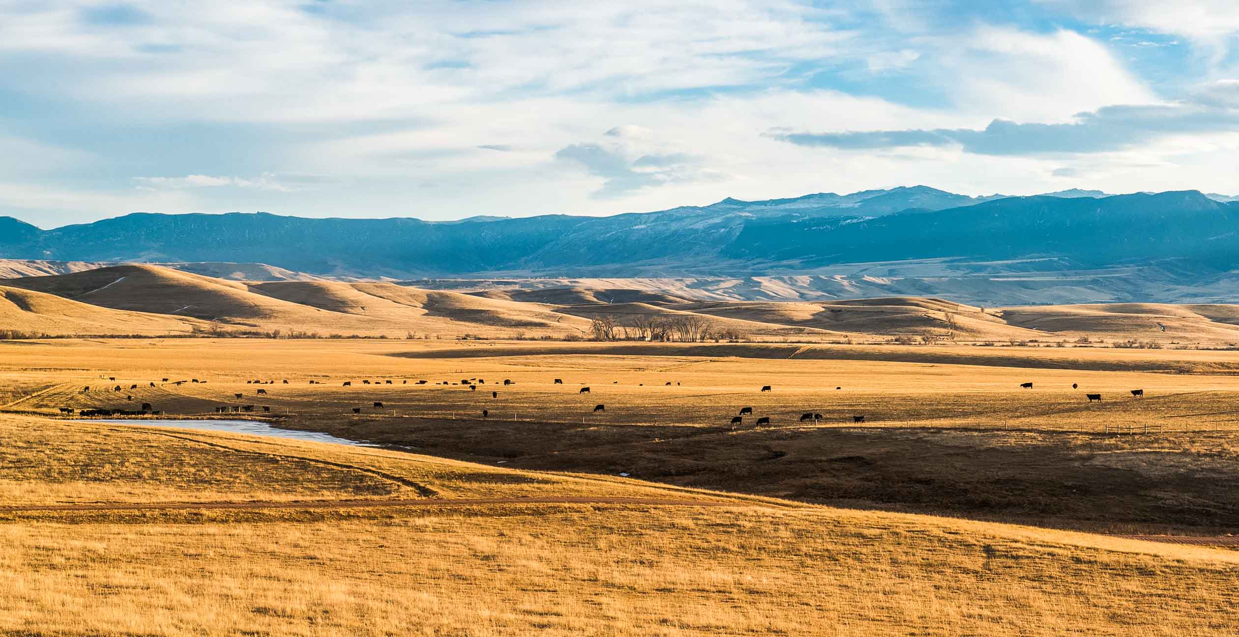 Wyoming Bike Tour - Bicycle Adventures