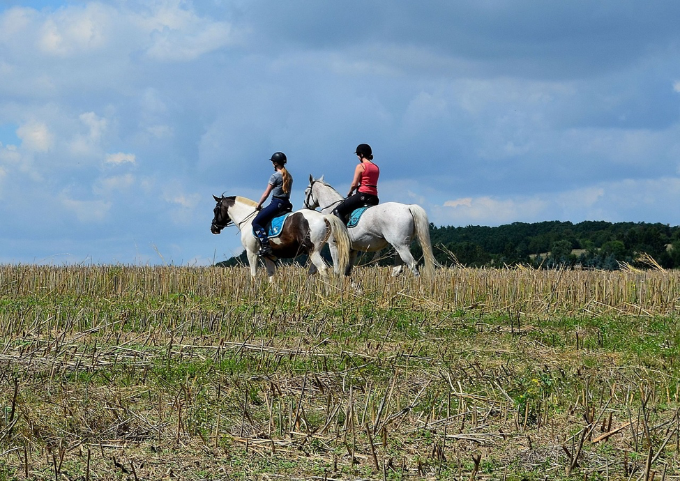 8 Excellent Reasons to Plan a Custom Bicycle Adventure with Your Family or Group This Year