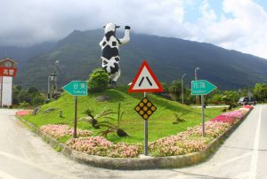 The Cow Junction