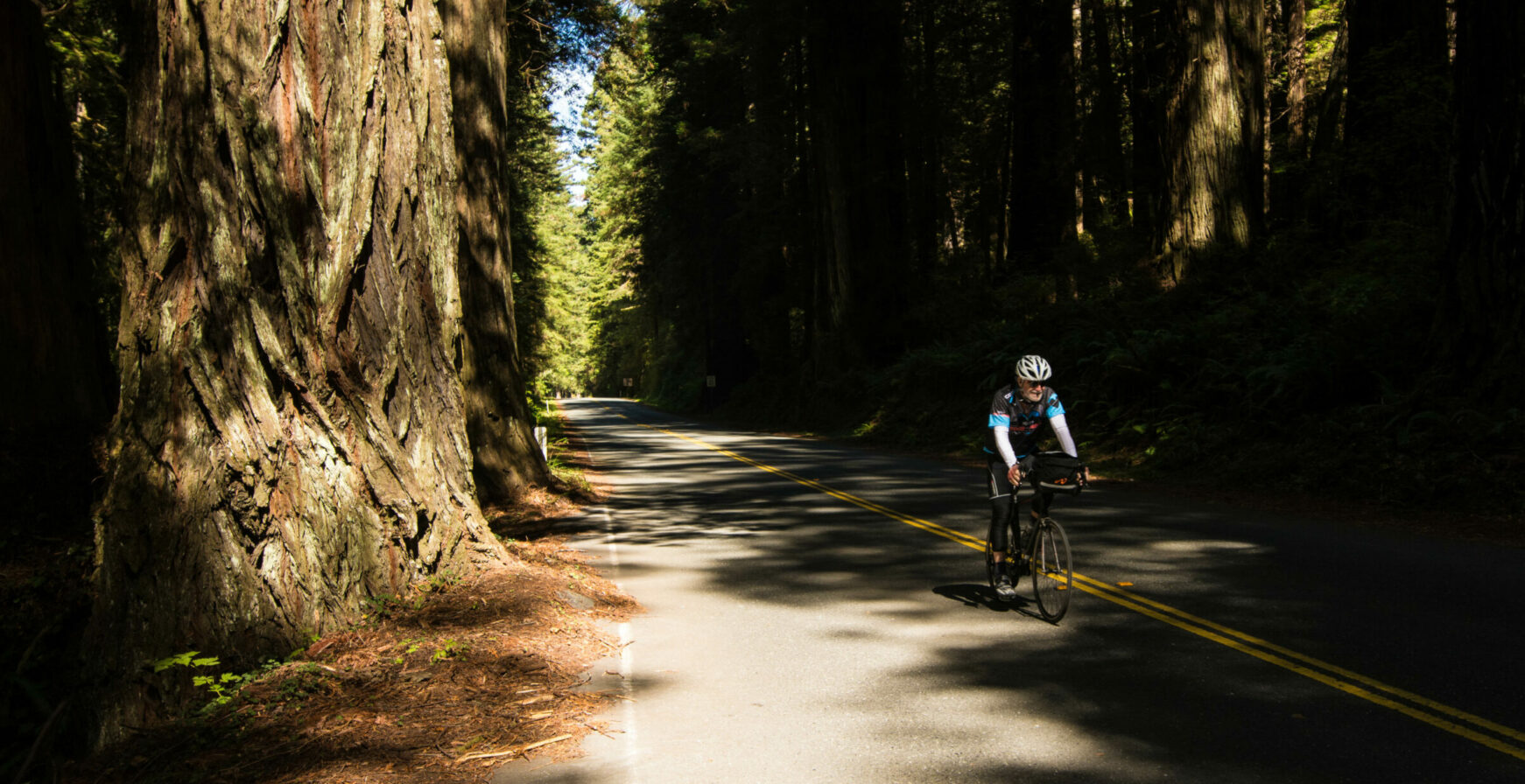 bike tours california
