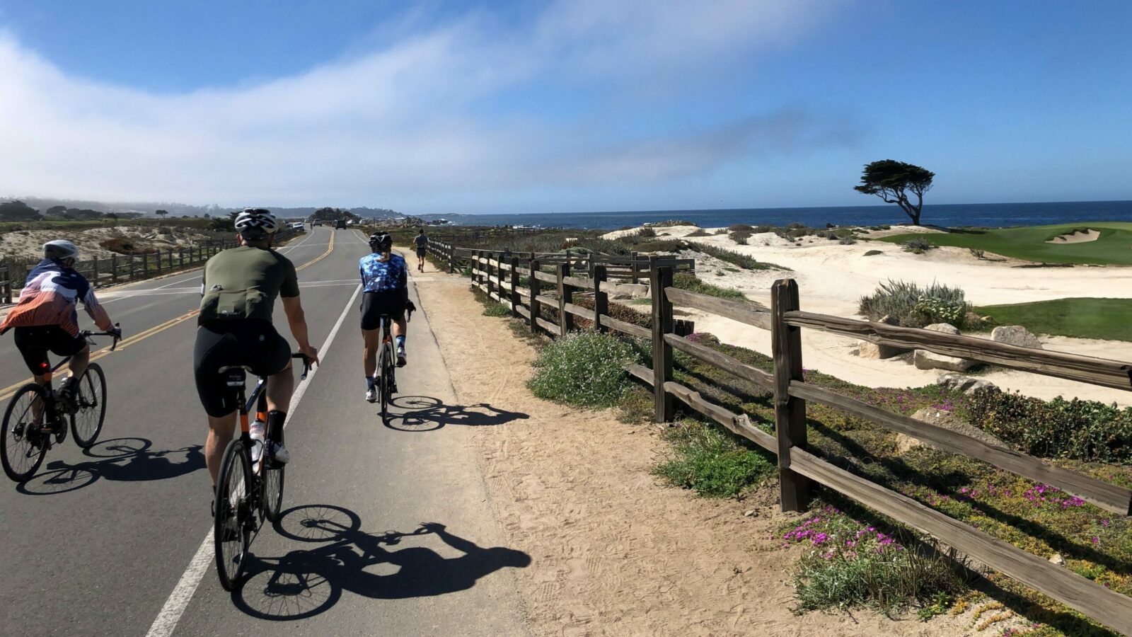 Big Sur Coast Bike Tour - Bicycle Adventures