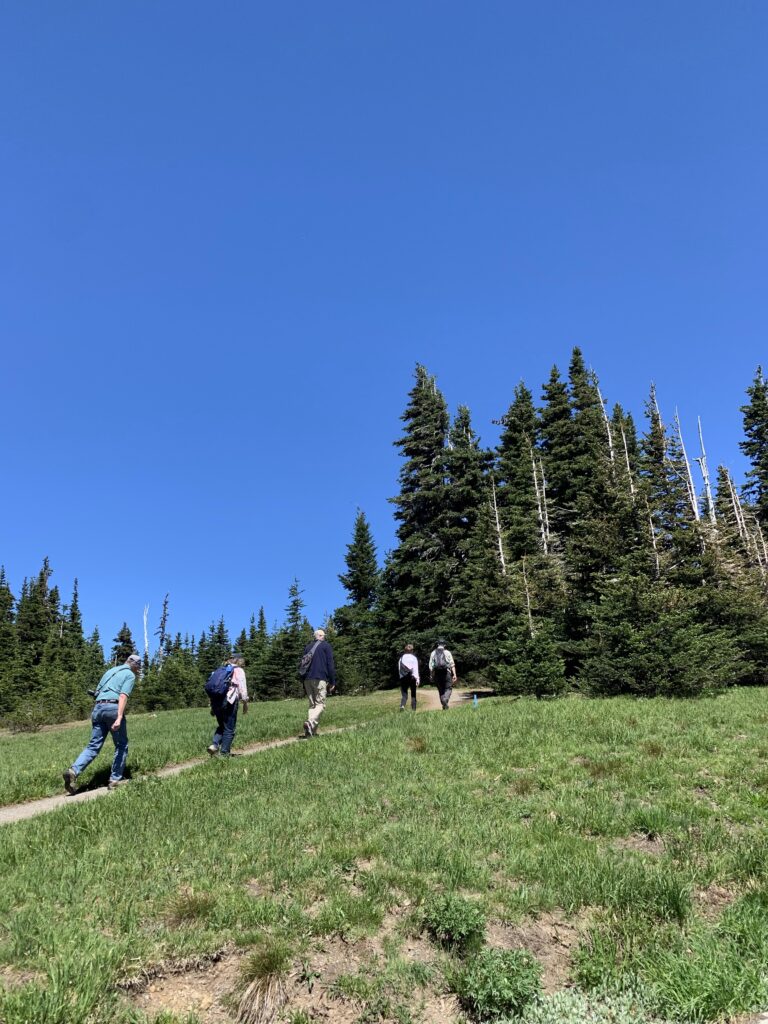 Several people walking up slight incline on a trail up a grass-covered hill