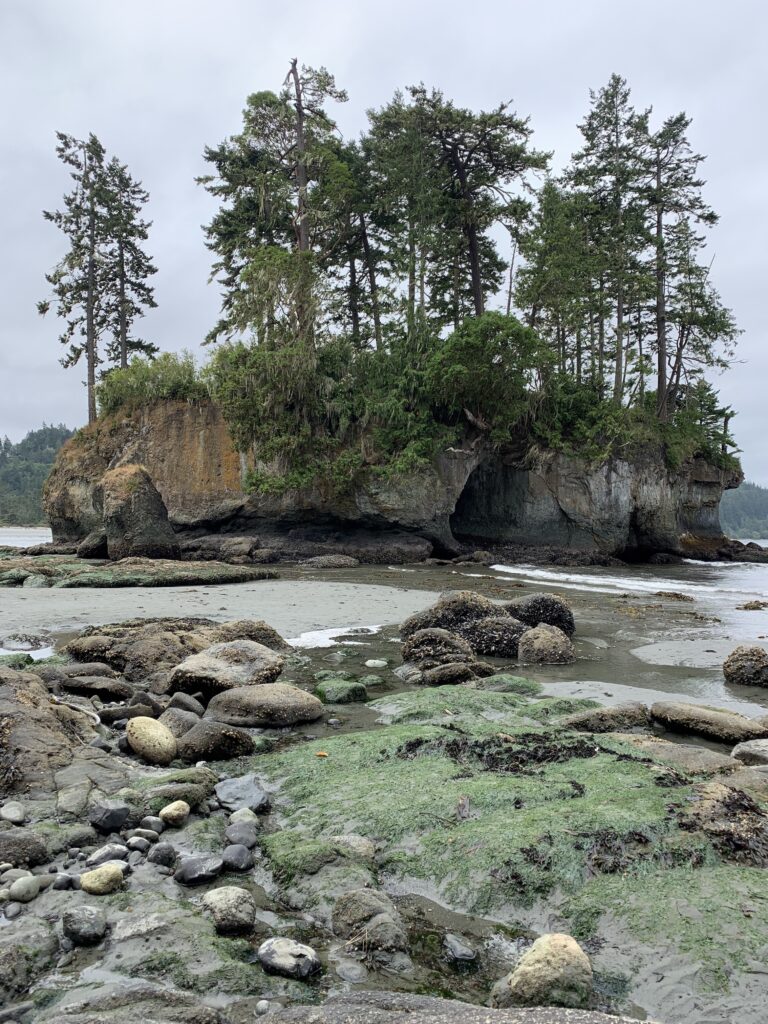 Rock-covered beach under a gray sky