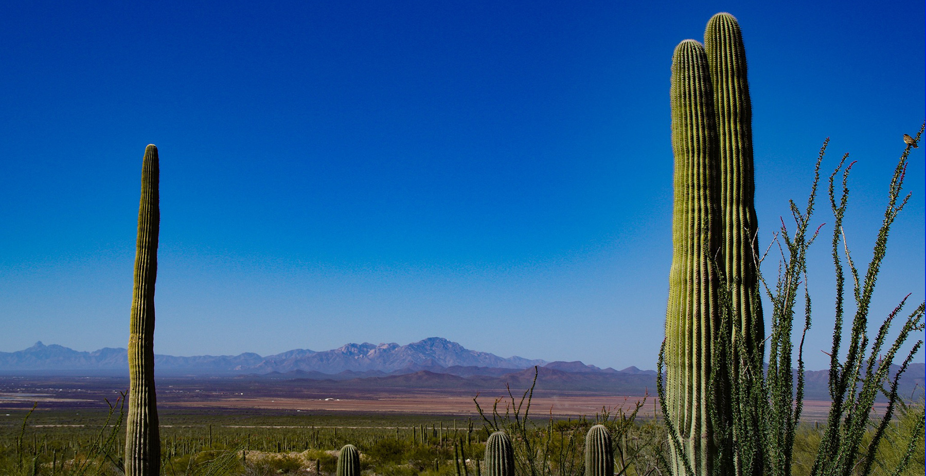 Arizona Sonora Bike Tour